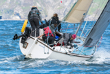 zebedee 6731y general whyw16 thur 800 3330w